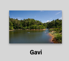 Gavi