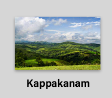 Kappakanam