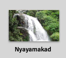 Nyayamakad